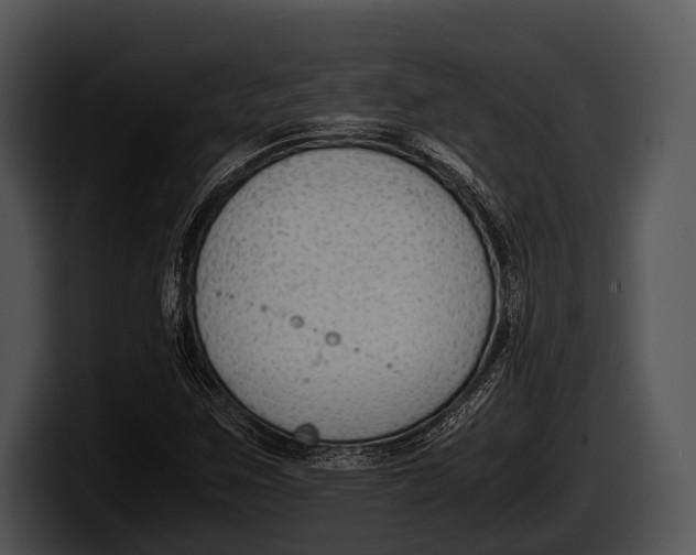 X0000100191259200806201247