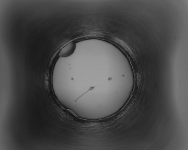 X0000100191260200806201247