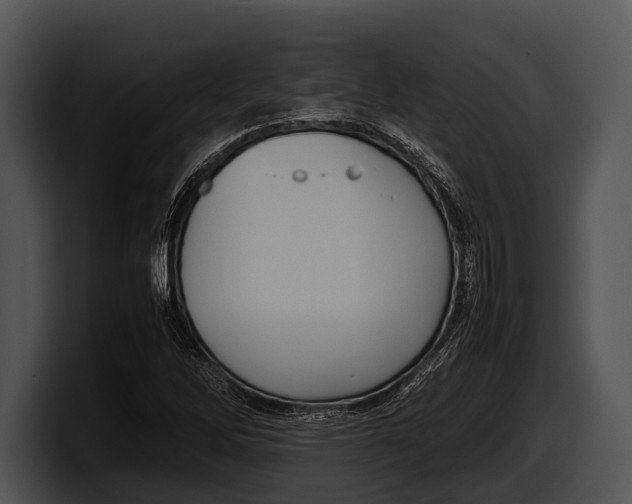 X0000100191262200806201247