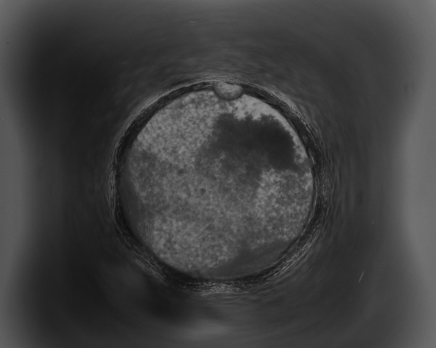 X0000100191263200806201247