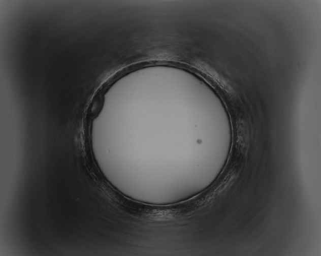 X0000100191264200806201247