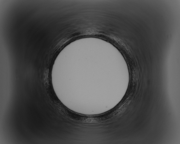 X0000100191265200806201247