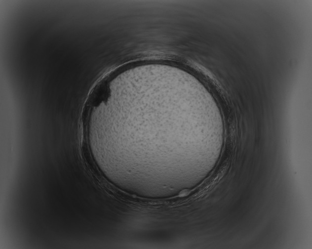 X0000100191267200806201247