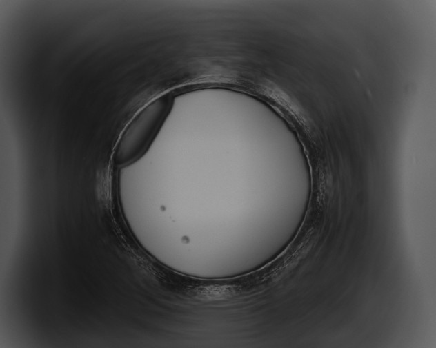 X0000100191268200806201247