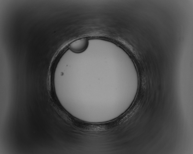 X0000100191270200806201247