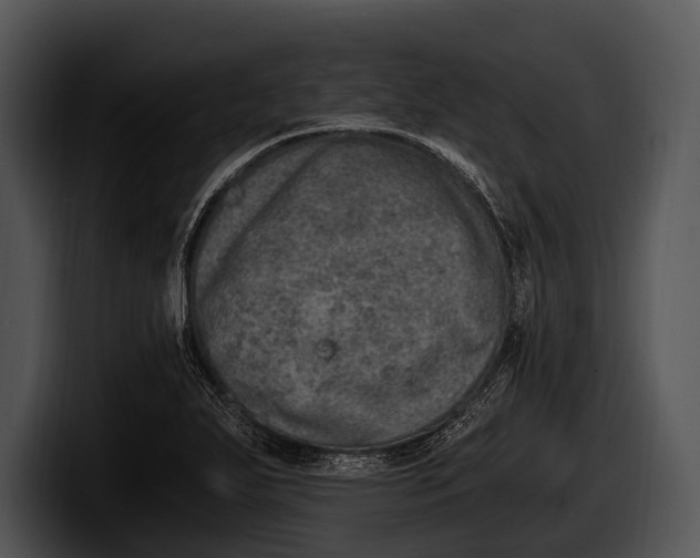 X0000100191271200806201247