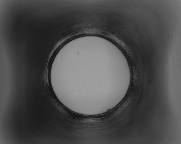 X0000100191272200806201247