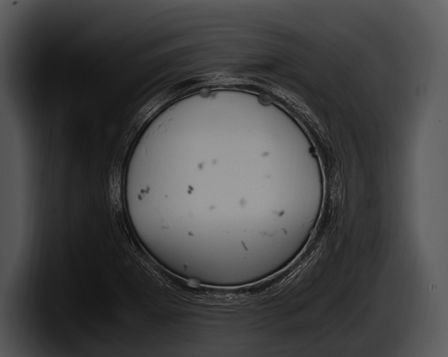 X0000100191273200806201247