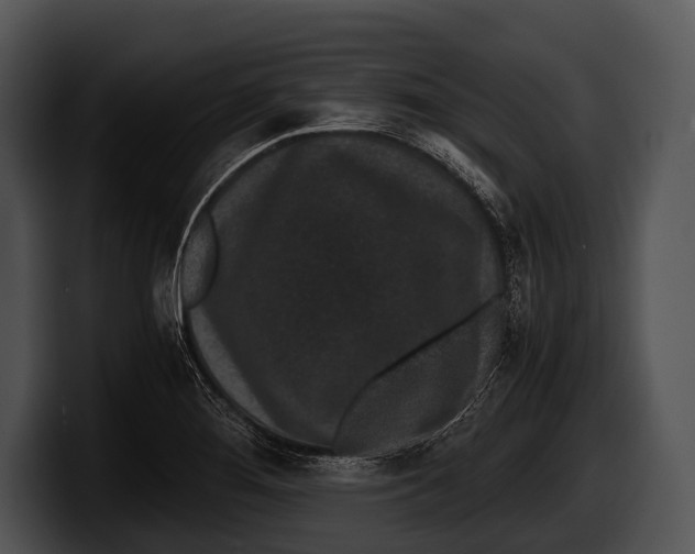 X0000100191276200806201247