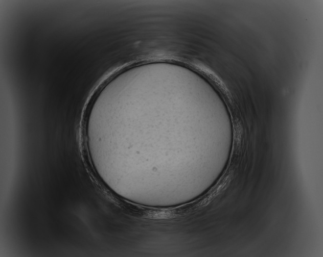 X0000100191278200806201247