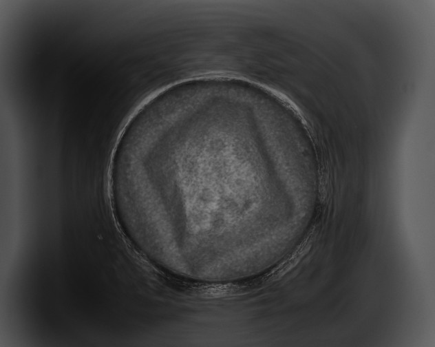 X0000100191279200806201247