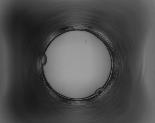 X0000100191281200806201247