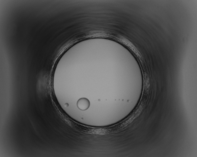 X0000100191282200806201247