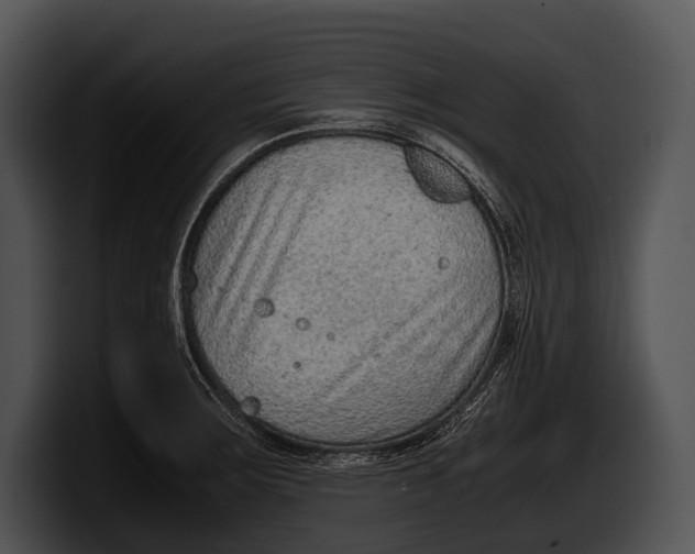 X0000100191283200806201247