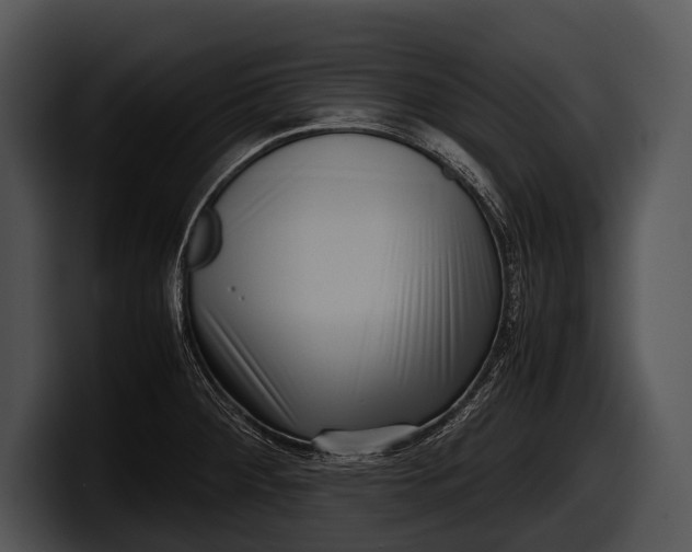 X0000100191284200806201247