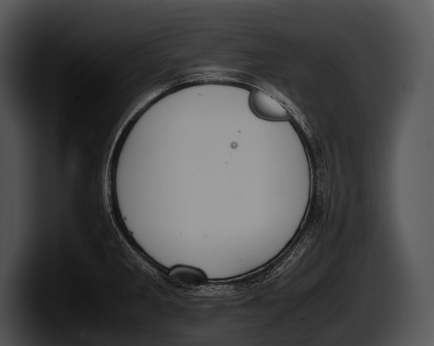 X0000100191285200806201247