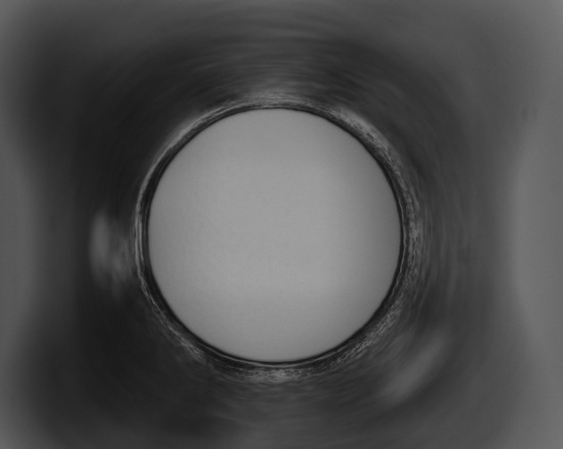 X0000100191286200806201247