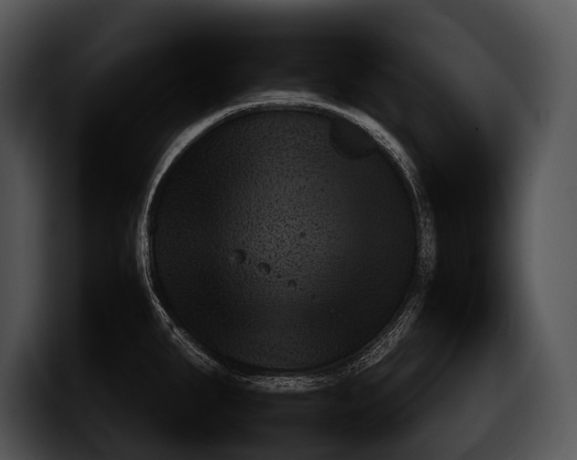 X0000100191287200806201247