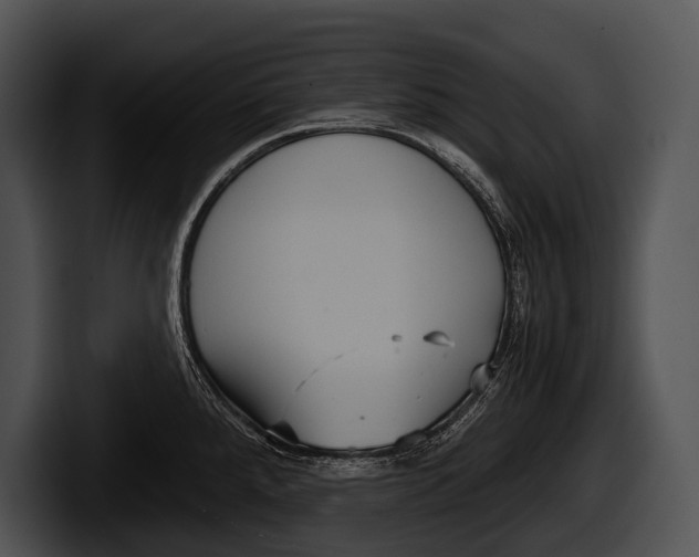 X0000100191288200806201247