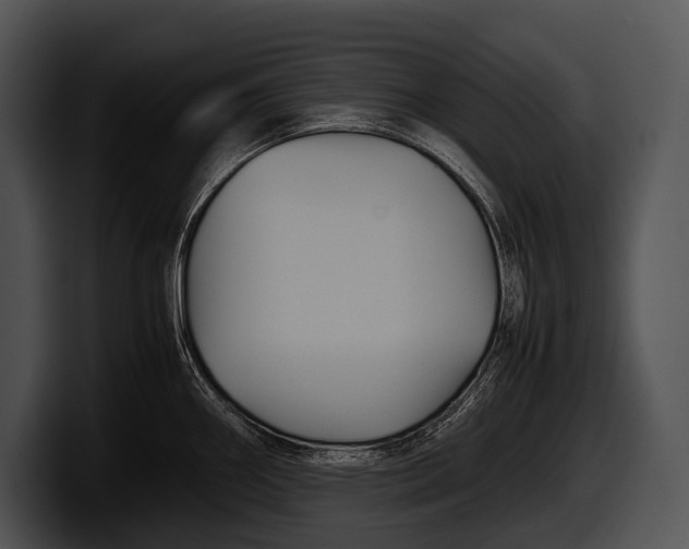 X0000100191290200806201247