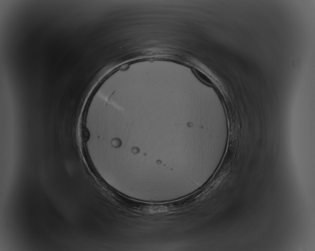 X0000100191291200806201247