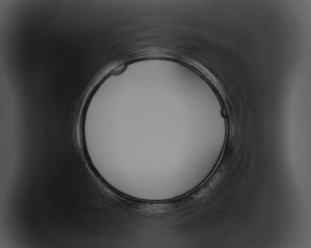 X0000100191293200806201247