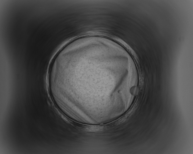 X0000100191294200806201247