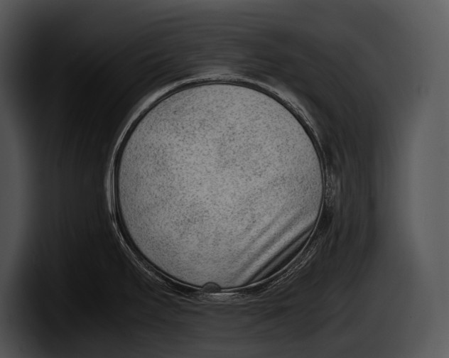 X0000100191295200806201247