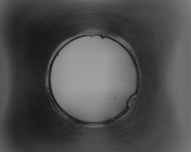 X0000100191296200806201247