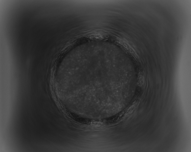 X0000100191297200806201246