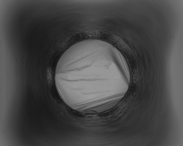 X0000100191298200806201246