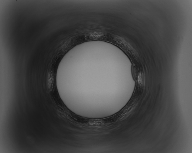 X0000100191299200806201246