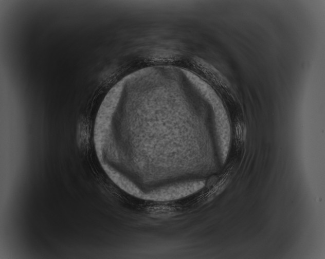 X0000100191300200806201246