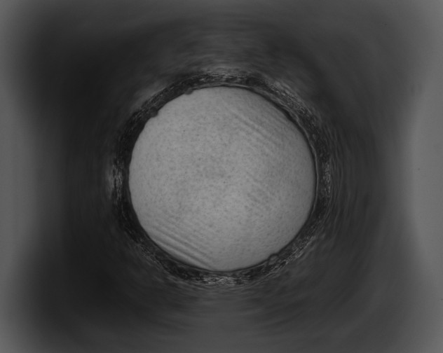 X0000100191302200806201246