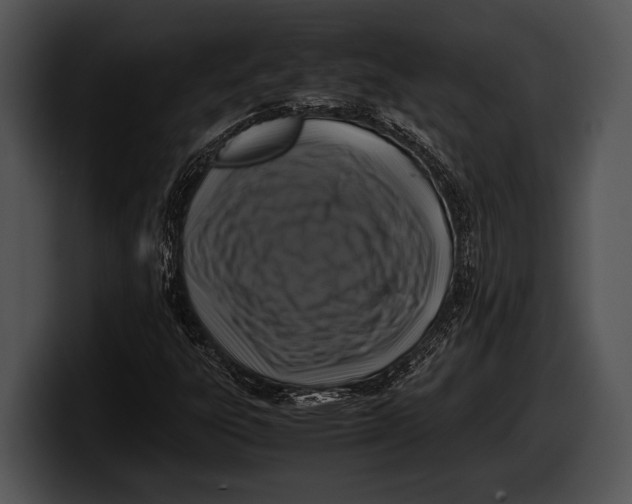 X0000100191303200806201246