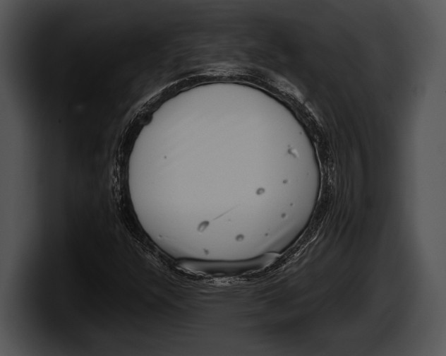 X0000100191304200806201246