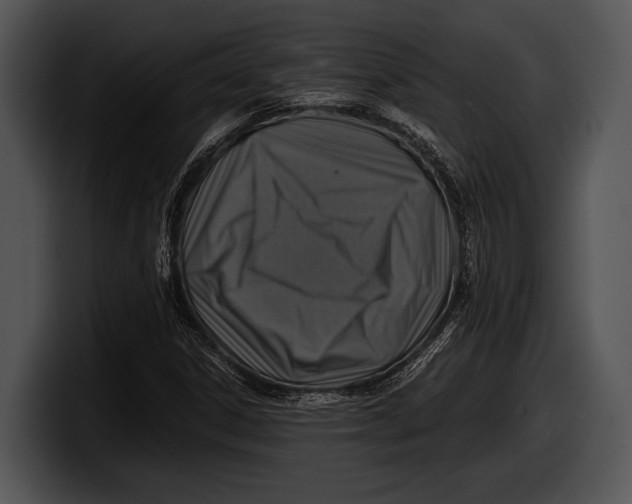 X0000100191306200806201246