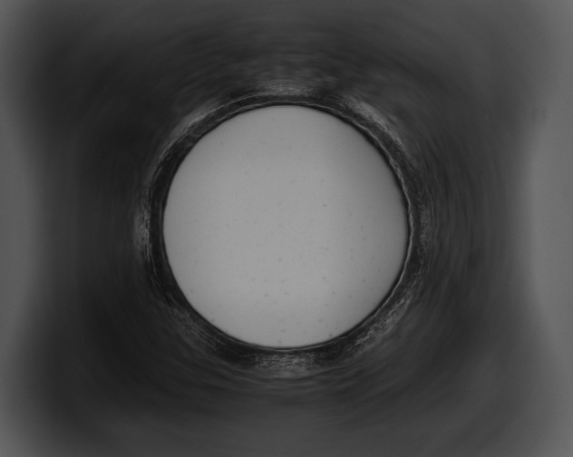 X0000100191307200806201246