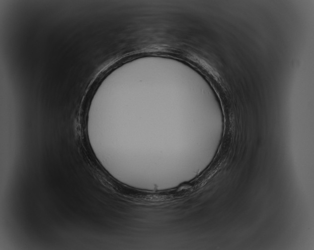 X0000100191308200806201246