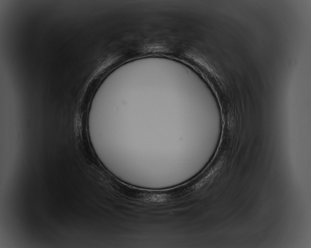 X0000100191309200806201246