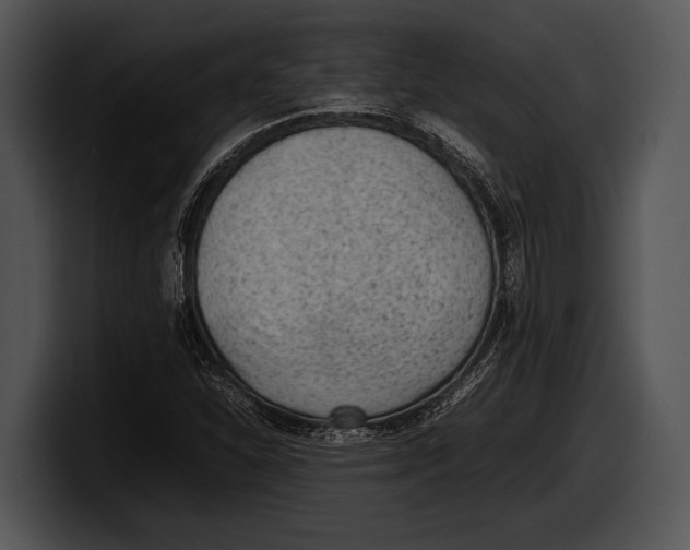 X0000100191310200806201246