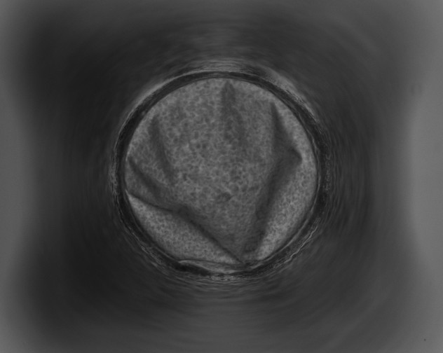 X0000100191312200806201246