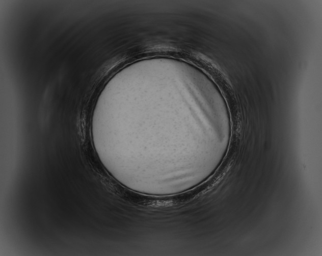 X0000100191313200806201246