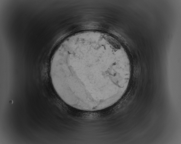 X0000100191314200806201246