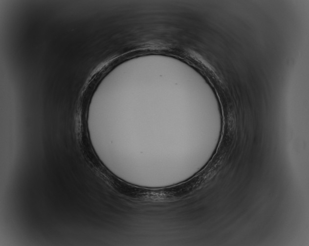 X0000100191315200806201246