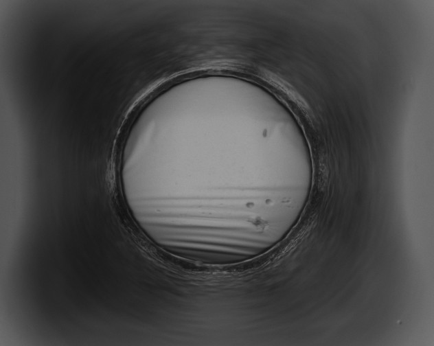 X0000100191316200806201246