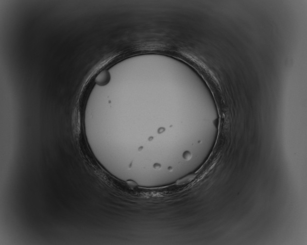 X0000100191317200806201246