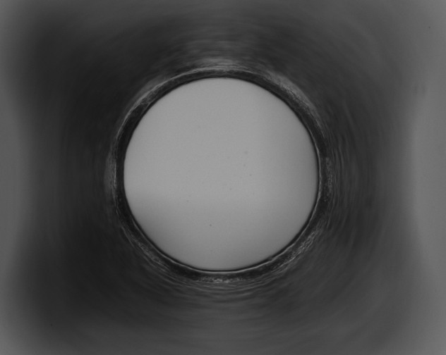 X0000100191318200806201246