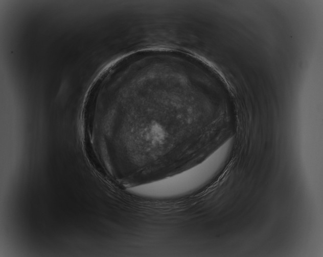 X0000100191319200806201246