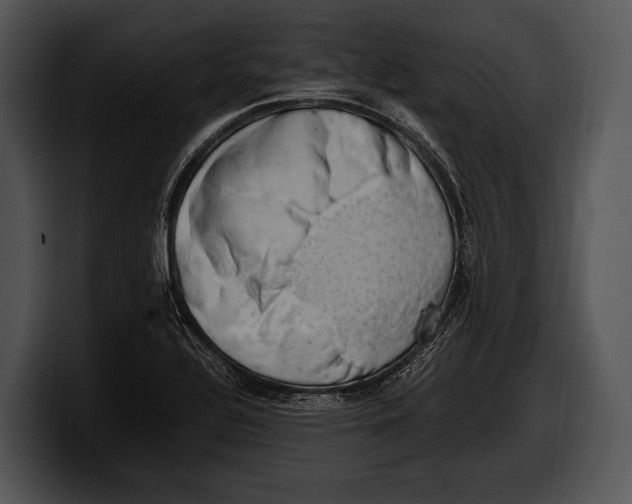 X0000100191320200806201246